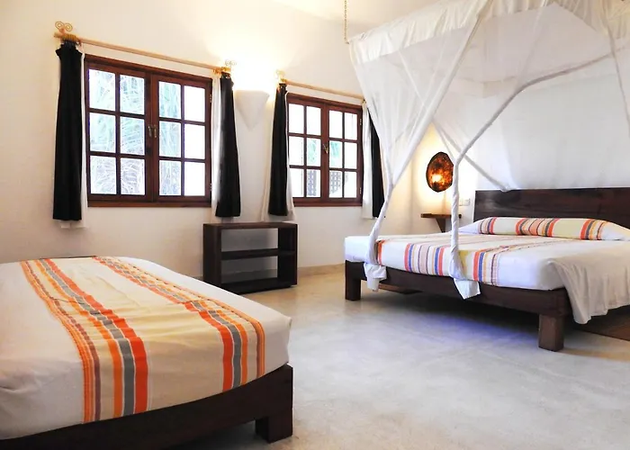 Gecko Resort